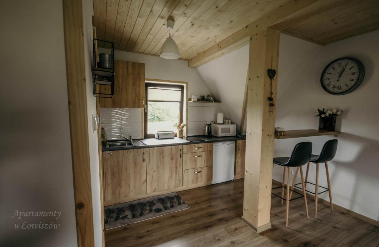 Apartament U Lowiszow Witów Kültér fotó