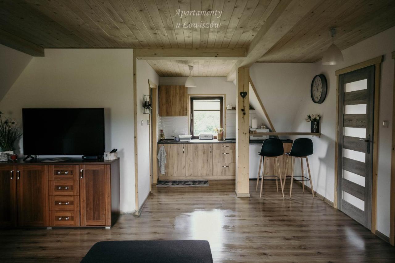Apartament U Lowiszow Witów Kültér fotó